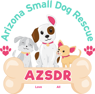Arizona Small Dog Rescue